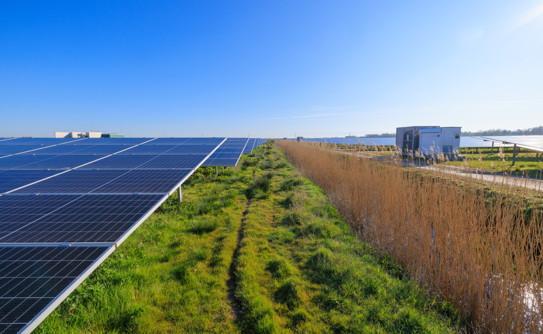 Agrivoltaïsme : avantages et opportunité de revenus